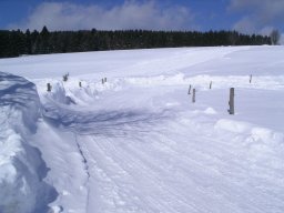 Rodeltag 2006